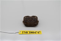 藏品(絨毛仿銀杏蟹)的圖片